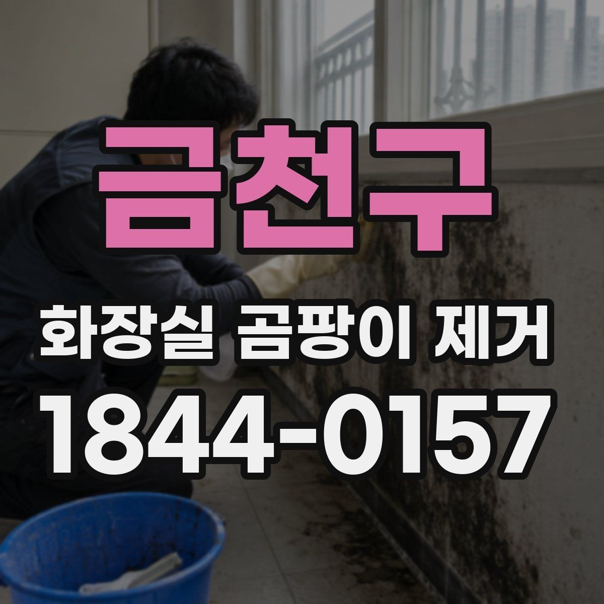금천구 화장실 곰팡이 제거 벽면과 천장 경계 오염을 줄이는 기본 순서