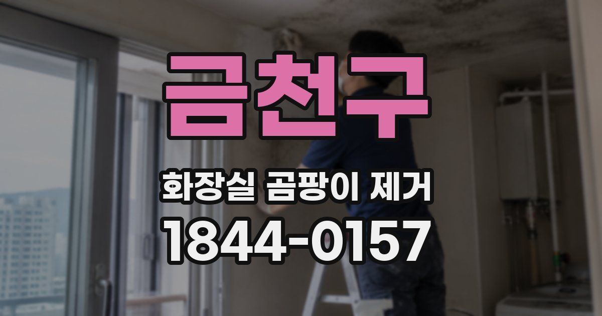 금천구 화장실 곰팡이 제거