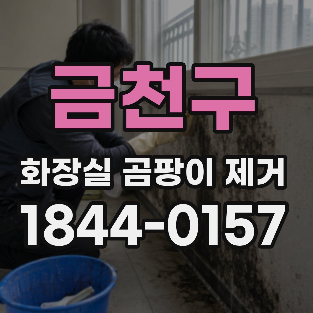 금천구 화장실 곰팡이 제거