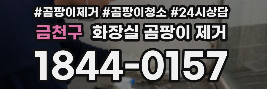 금천구 화장실 곰팡이 제거