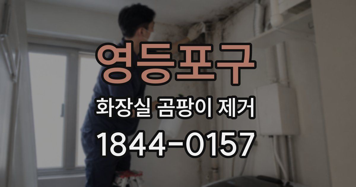 영등포구 화장실 곰팡이 제거