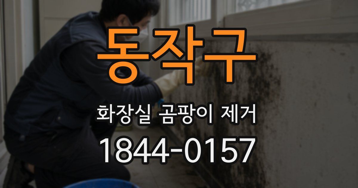 동작구 화장실 곰팡이 제거