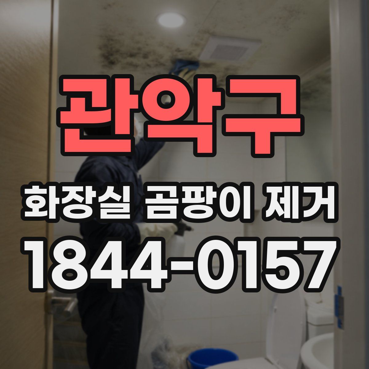 관악구 화장실 곰팡이 제거