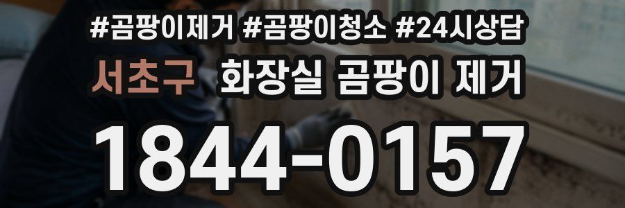 서초구 화장실 곰팡이 제거
