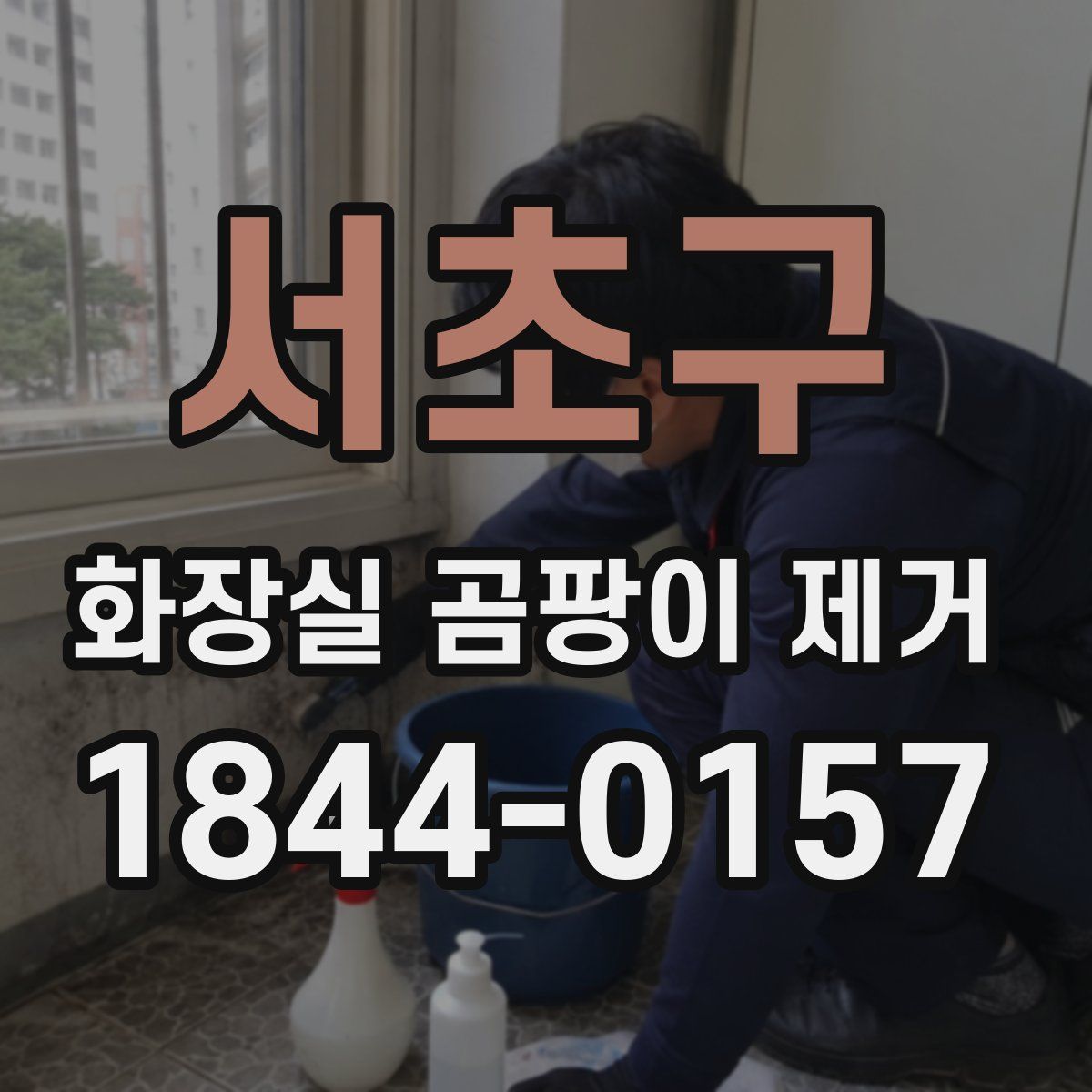 서초구 화장실 곰팡이 제거