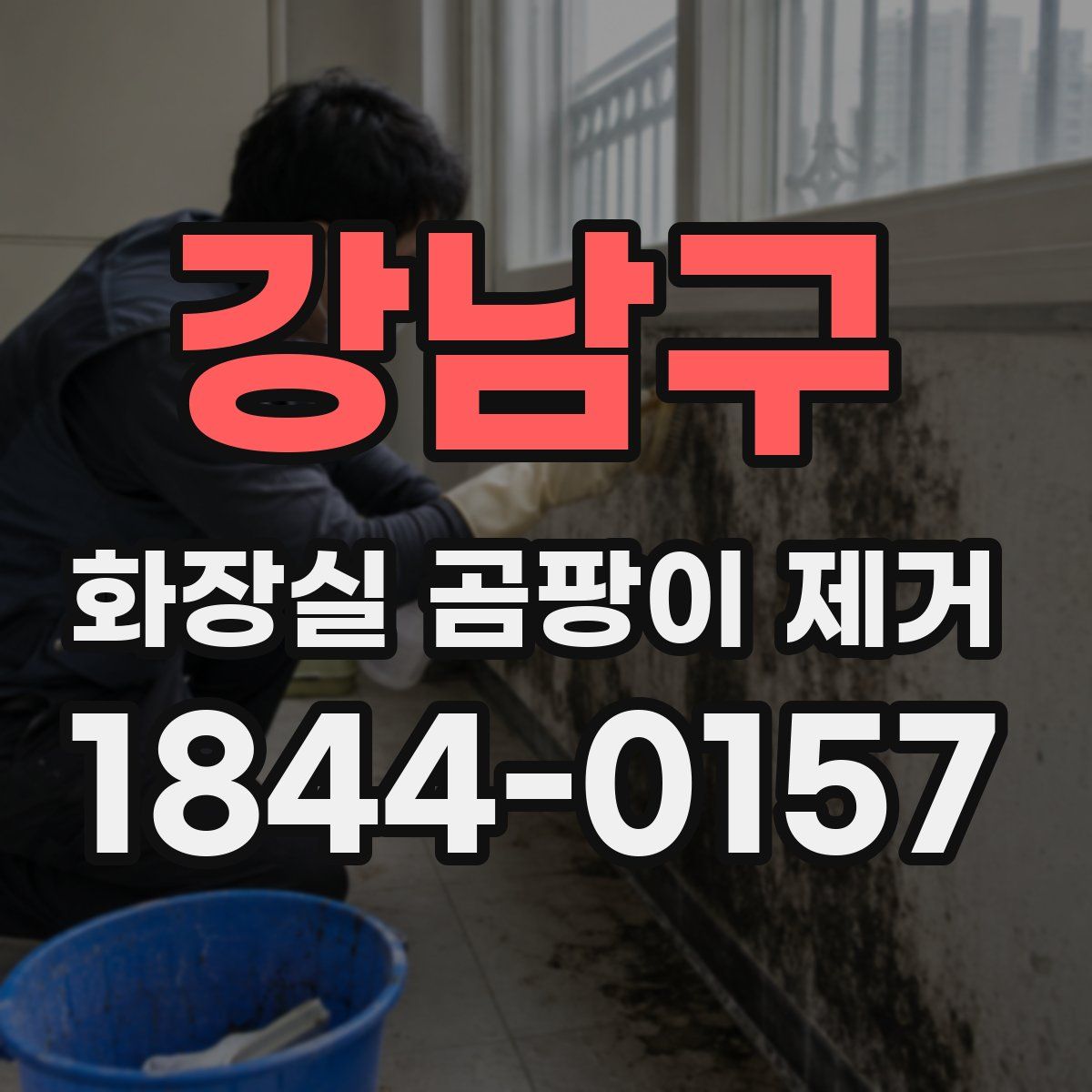 강남구 화장실 곰팡이 제거