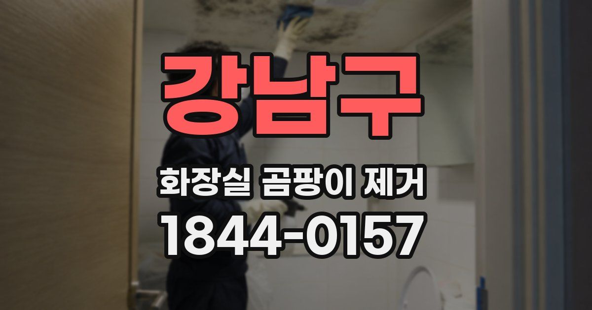 강남구 화장실 곰팡이 제거