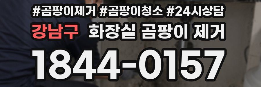 강남구 화장실 곰팡이 제거