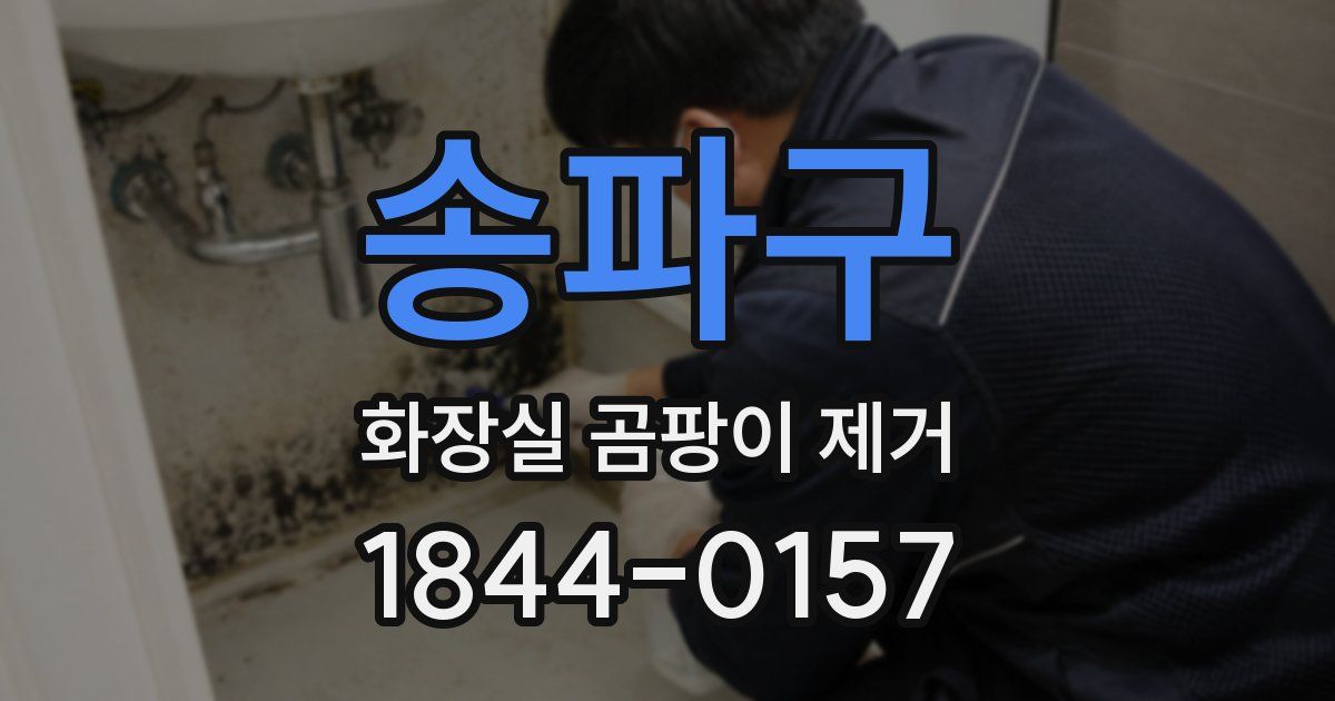 송파구 화장실 곰팡이 제거