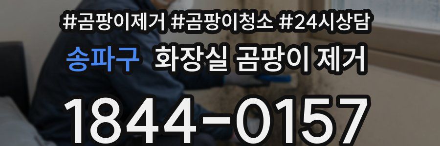 송파구 화장실 곰팡이 제거