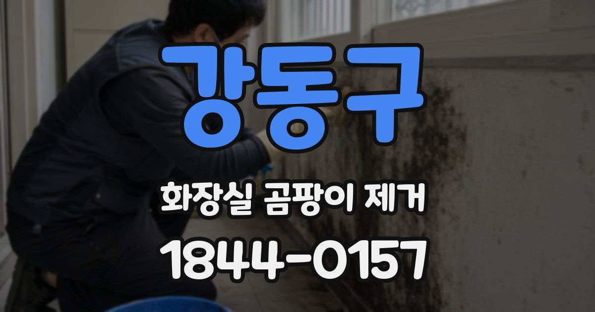 강동구 화장실 곰팡이 제거