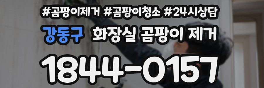 강동구 화장실 곰팡이 제거