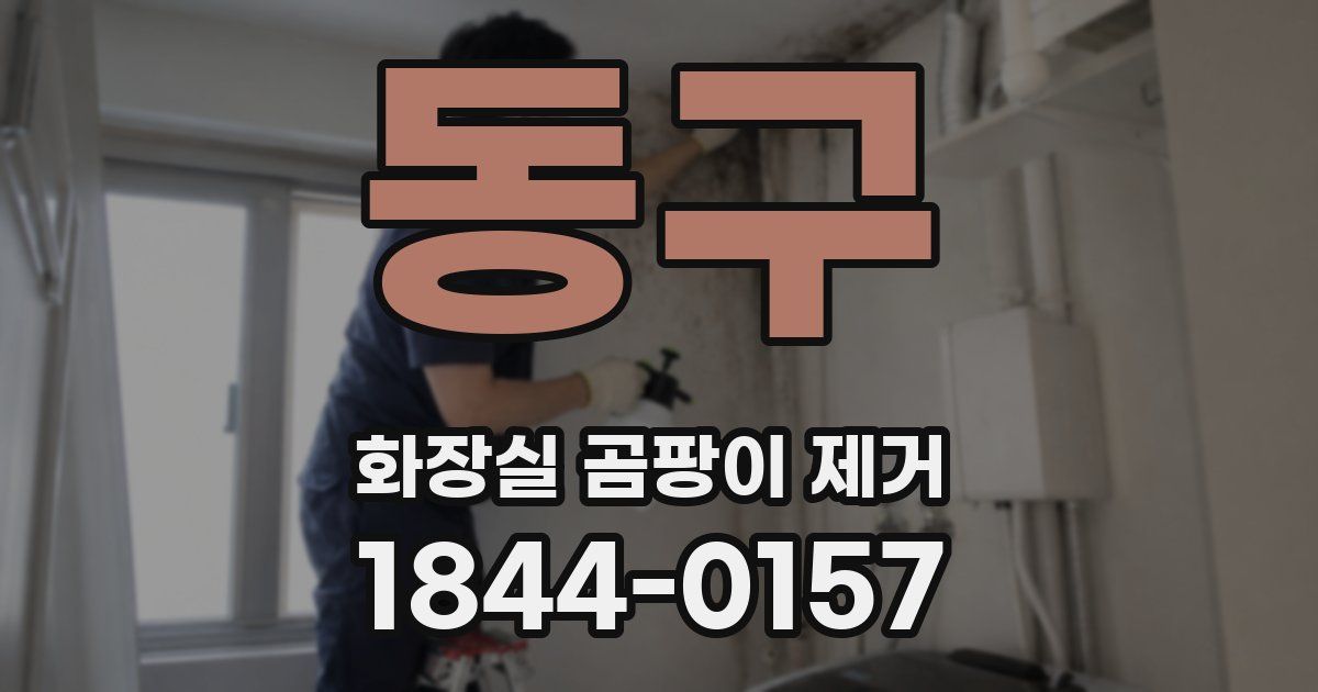동구 화장실 곰팡이 제거