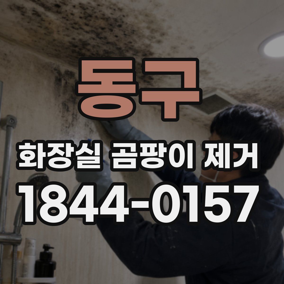 동구 화장실 곰팡이 제거