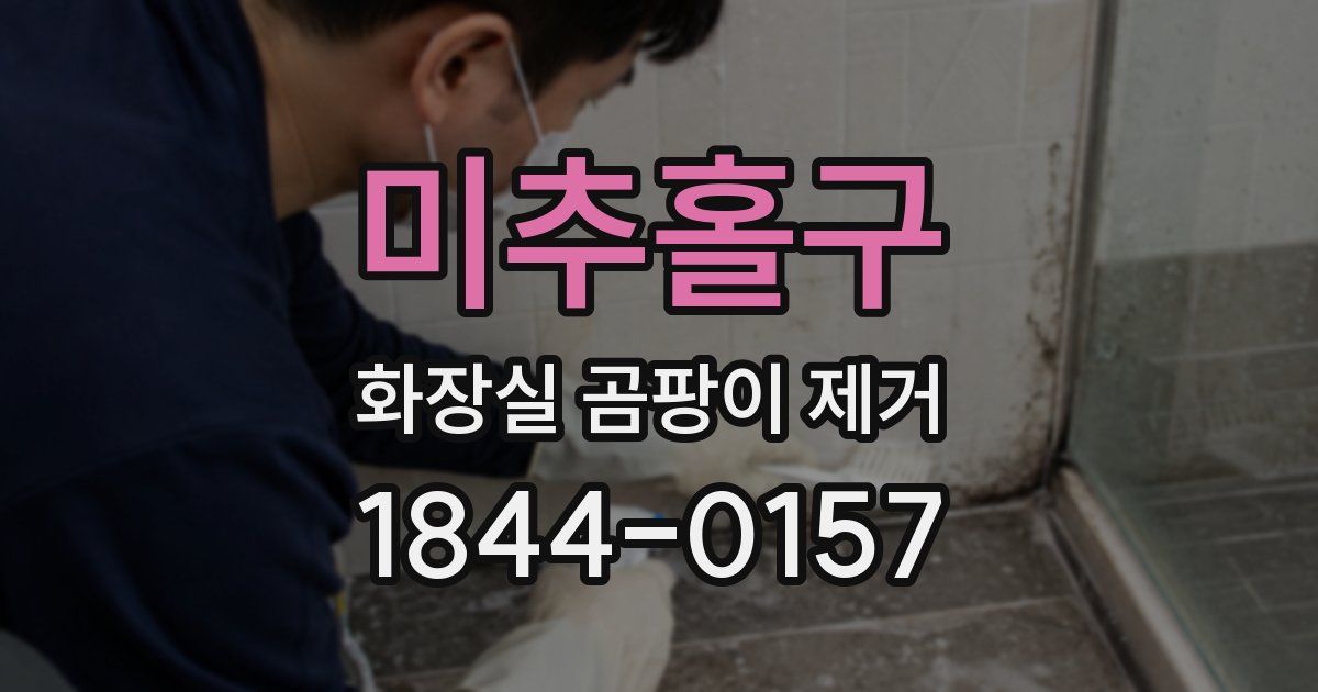 미추홀구 화장실 곰팡이 제거
