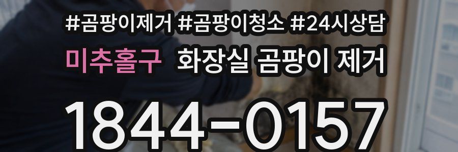 미추홀구 화장실 곰팡이 제거