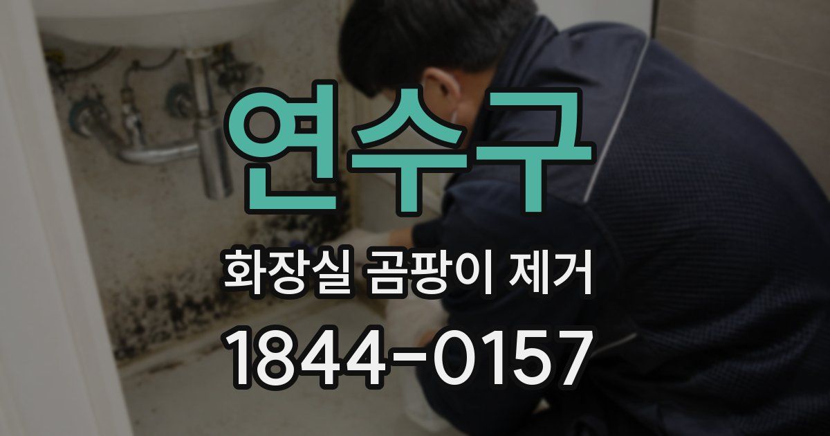 연수구 화장실 곰팡이 제거