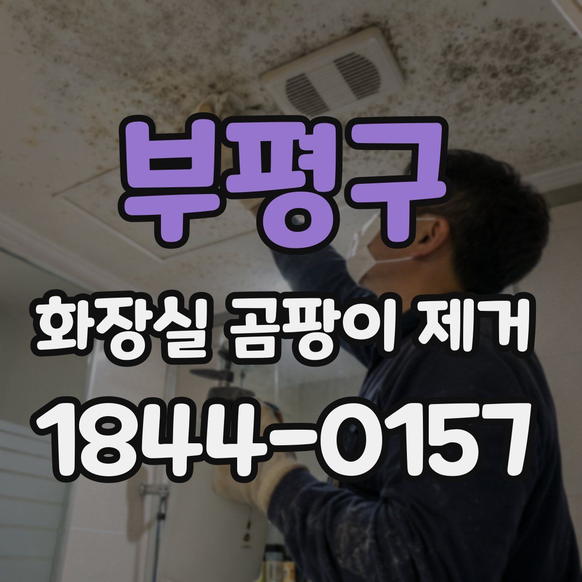 부평구 화장실 곰팡이 제거