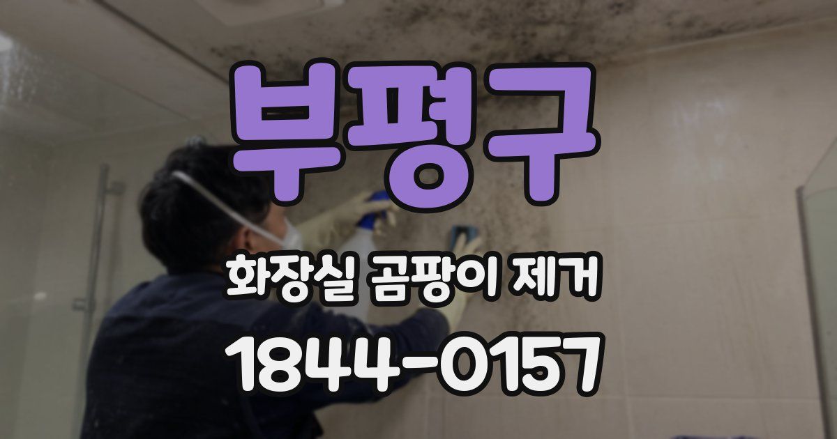 부평구 화장실 곰팡이 제거