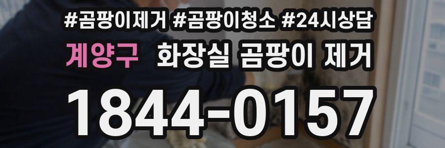 계양구 화장실 곰팡이 제거