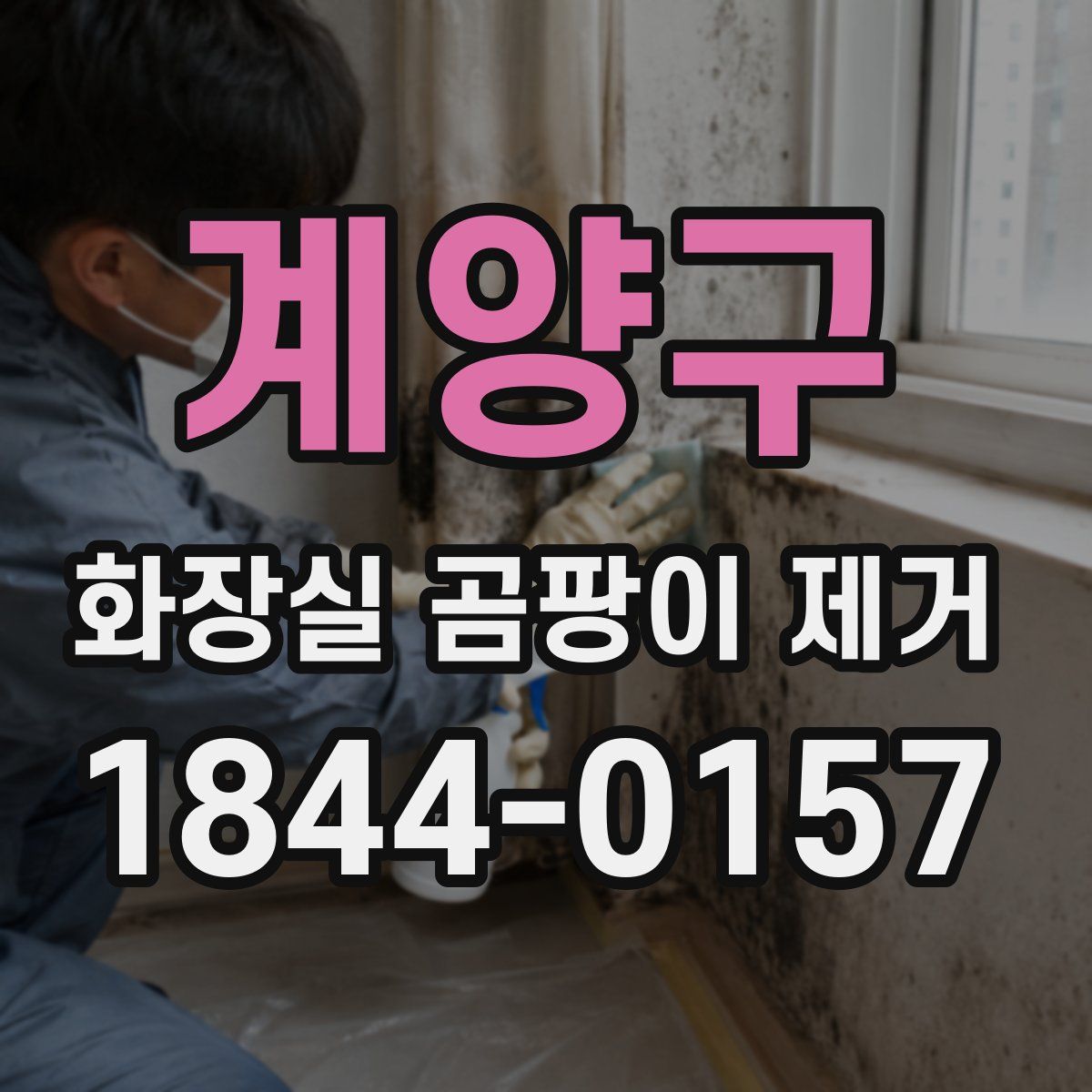 계양구 화장실 곰팡이 제거