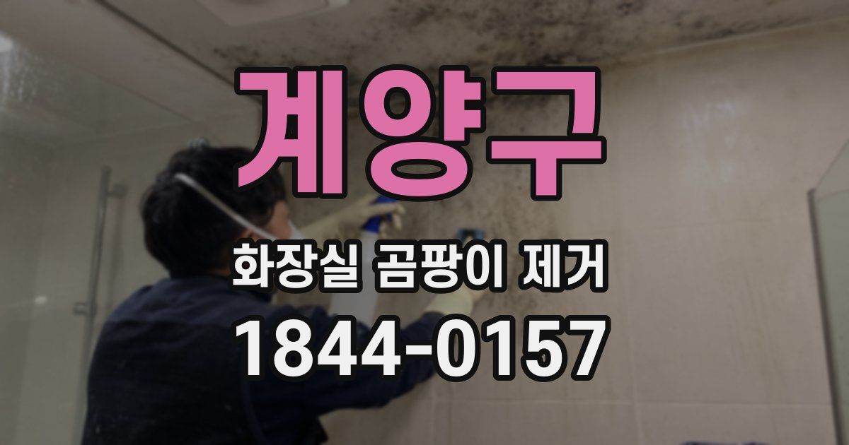 계양구 화장실 곰팡이 제거
