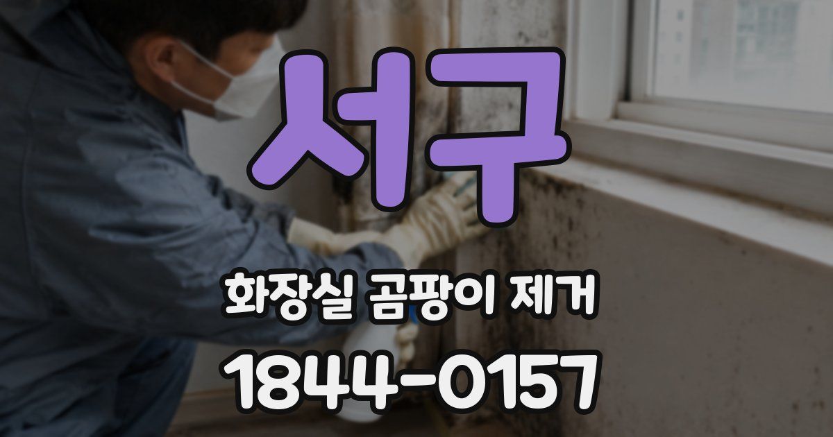 서구 화장실 곰팡이 제거