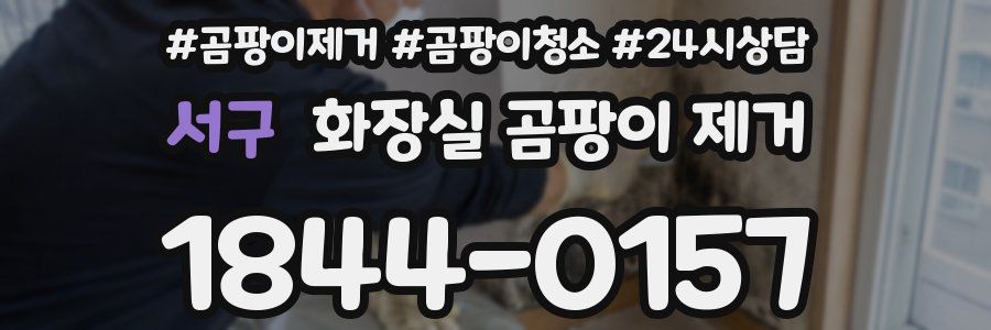 서구 화장실 곰팡이 제거