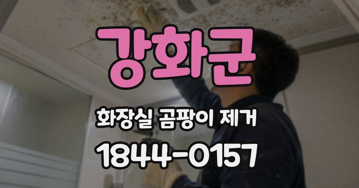 강화군 화장실 곰팡이 제거