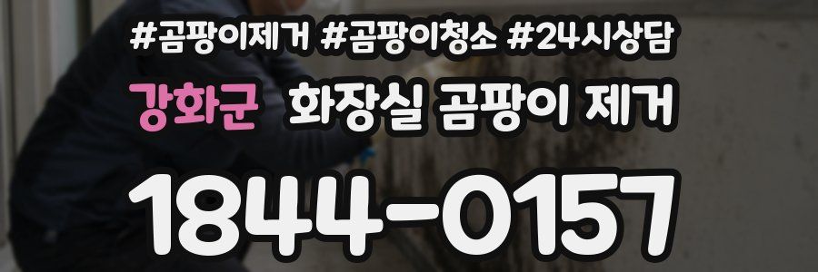강화군 화장실 곰팡이 제거