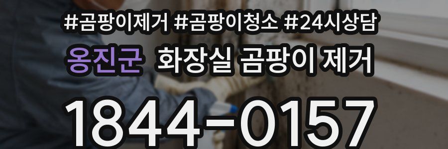 옹진군 화장실 곰팡이 제거