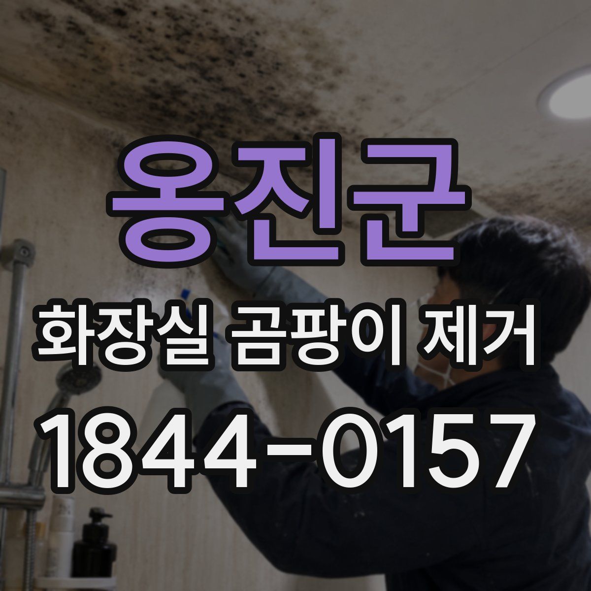 옹진군 화장실 곰팡이 제거