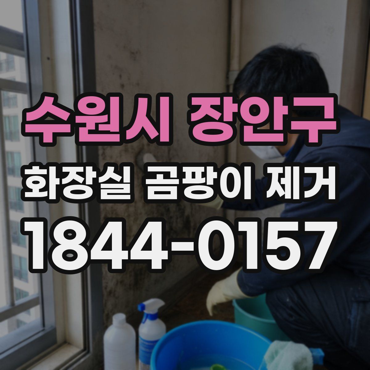 수원시 장안구 화장실 곰팡이 제거