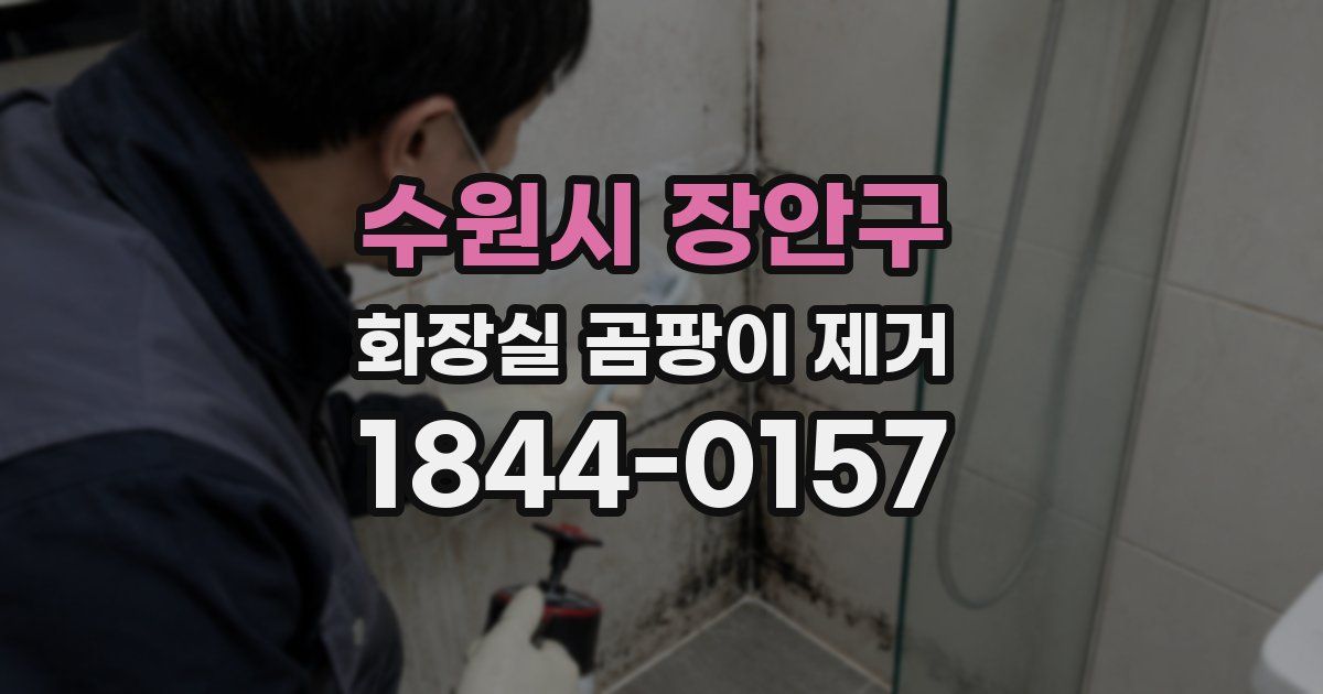 수원시 장안구 화장실 곰팡이 제거