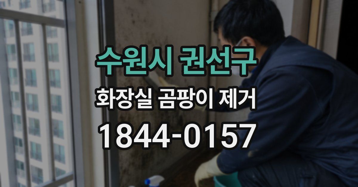 수원시 권선구 화장실 곰팡이 제거