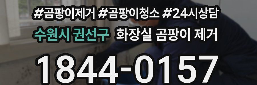 수원시 권선구 화장실 곰팡이 제거