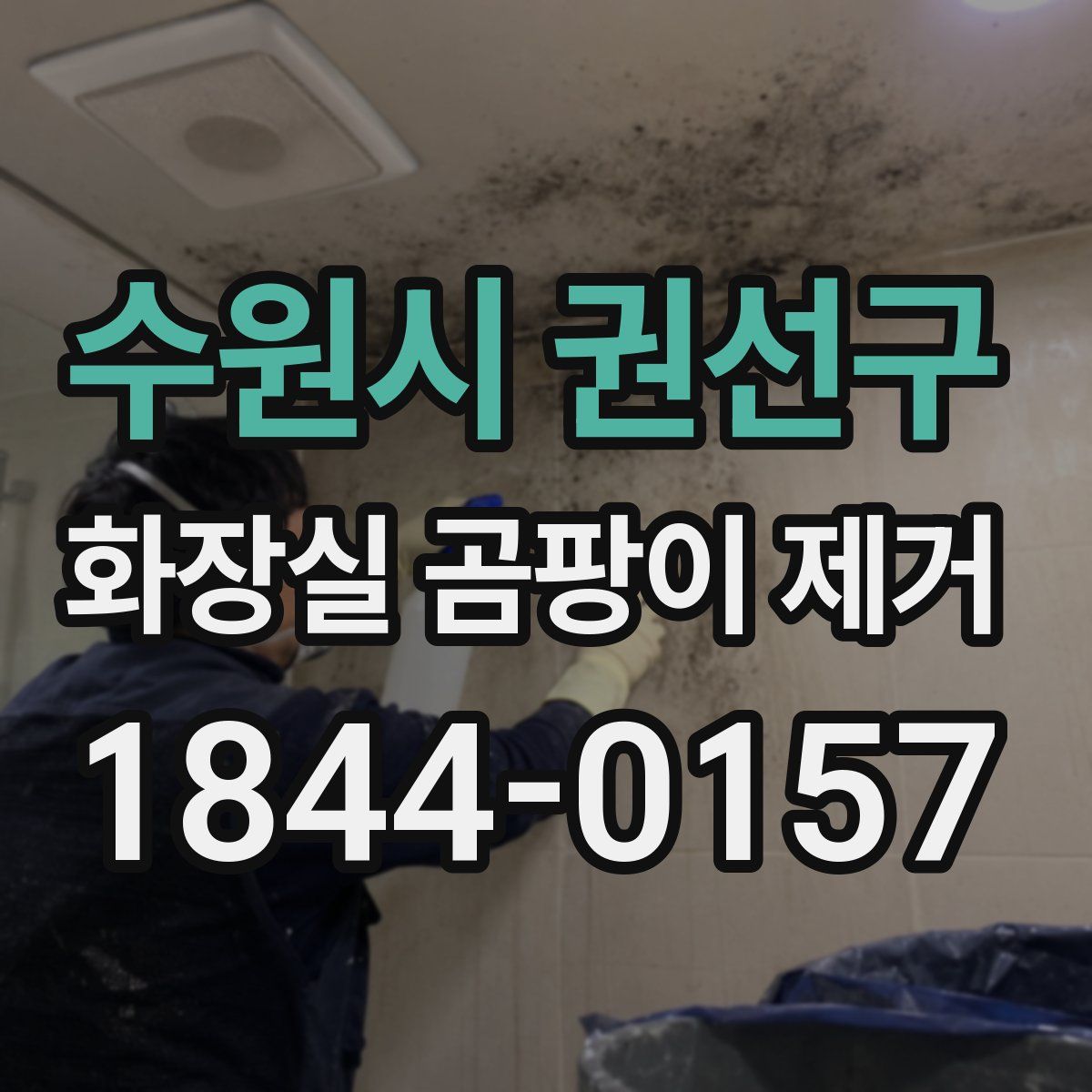 수원시 권선구 화장실 곰팡이 제거
