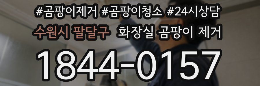 수원시 팔달구 화장실 곰팡이 제거