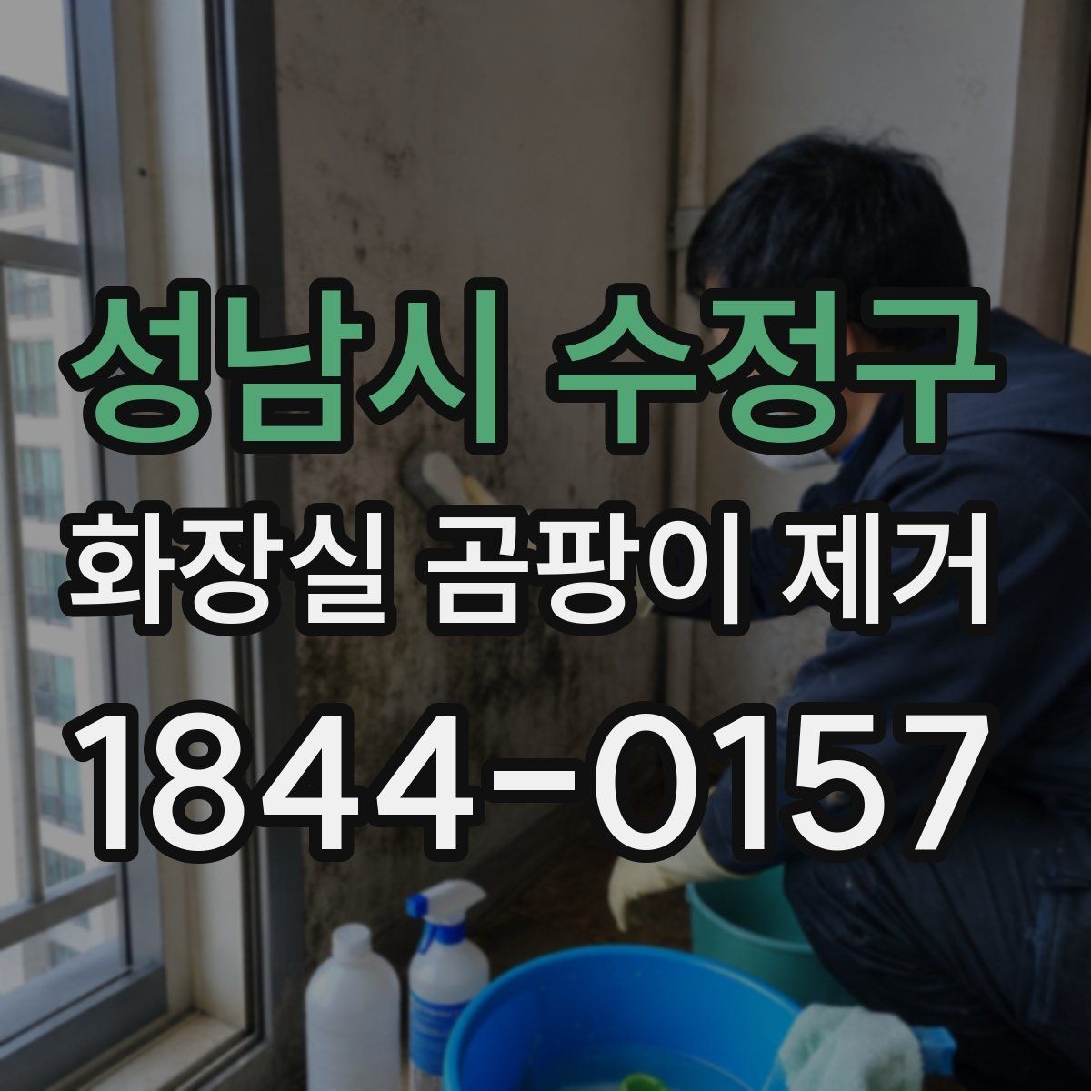 성남시 수정구 화장실 곰팡이 제거 색상 변색 없이 관리하는 방법