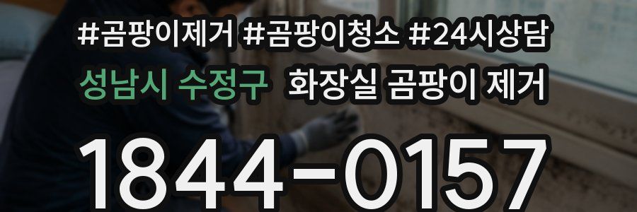 성남시 수정구 화장실 곰팡이 제거
