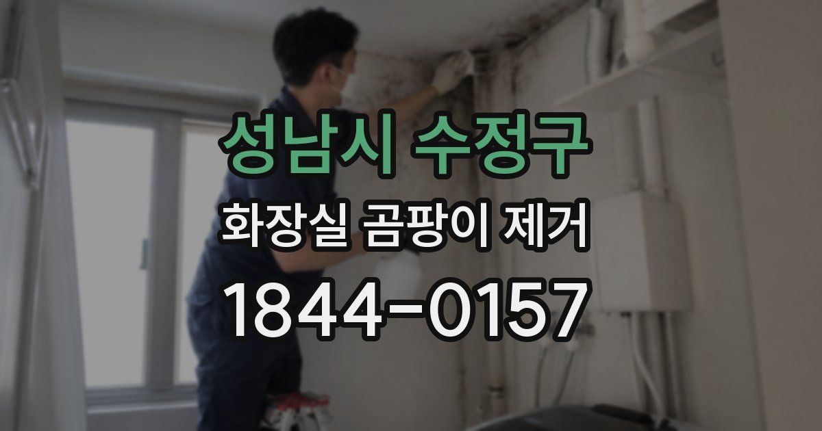 성남시 수정구 화장실 곰팡이 제거