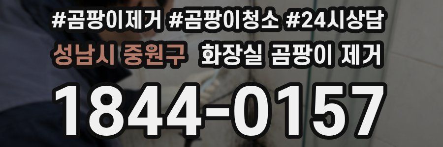 성남시 중원구 화장실 곰팡이 제거