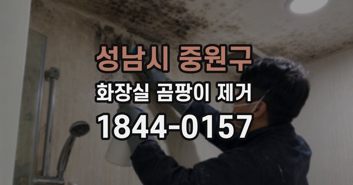 성남시 중원구 화장실 곰팡이 제거