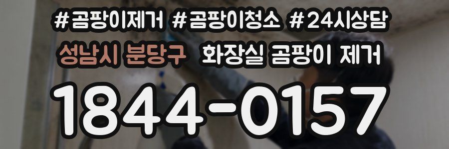 성남시 분당구 화장실 곰팡이 제거