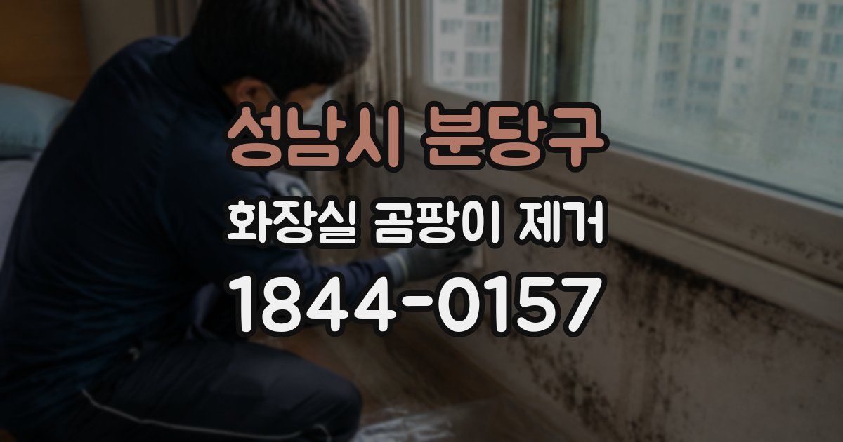 성남시 분당구 화장실 곰팡이 제거