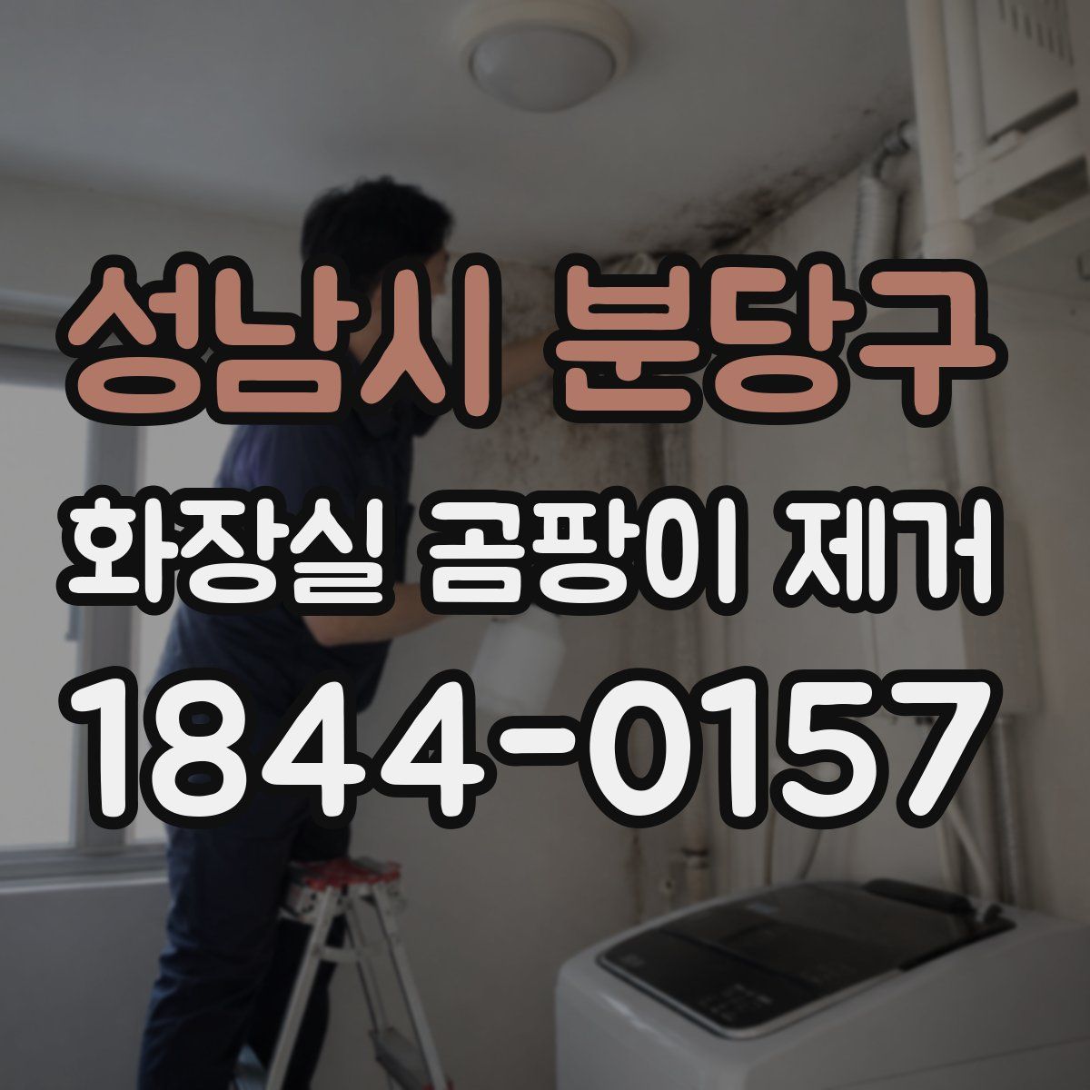 성남시 분당구 화장실 곰팡이 제거