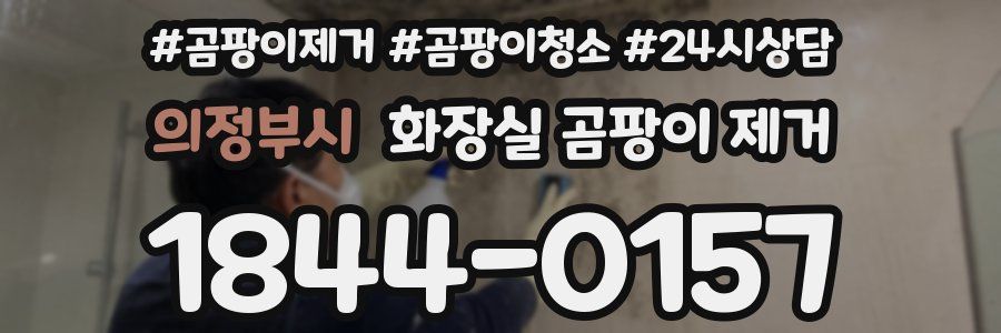 의정부시 화장실 곰팡이 제거