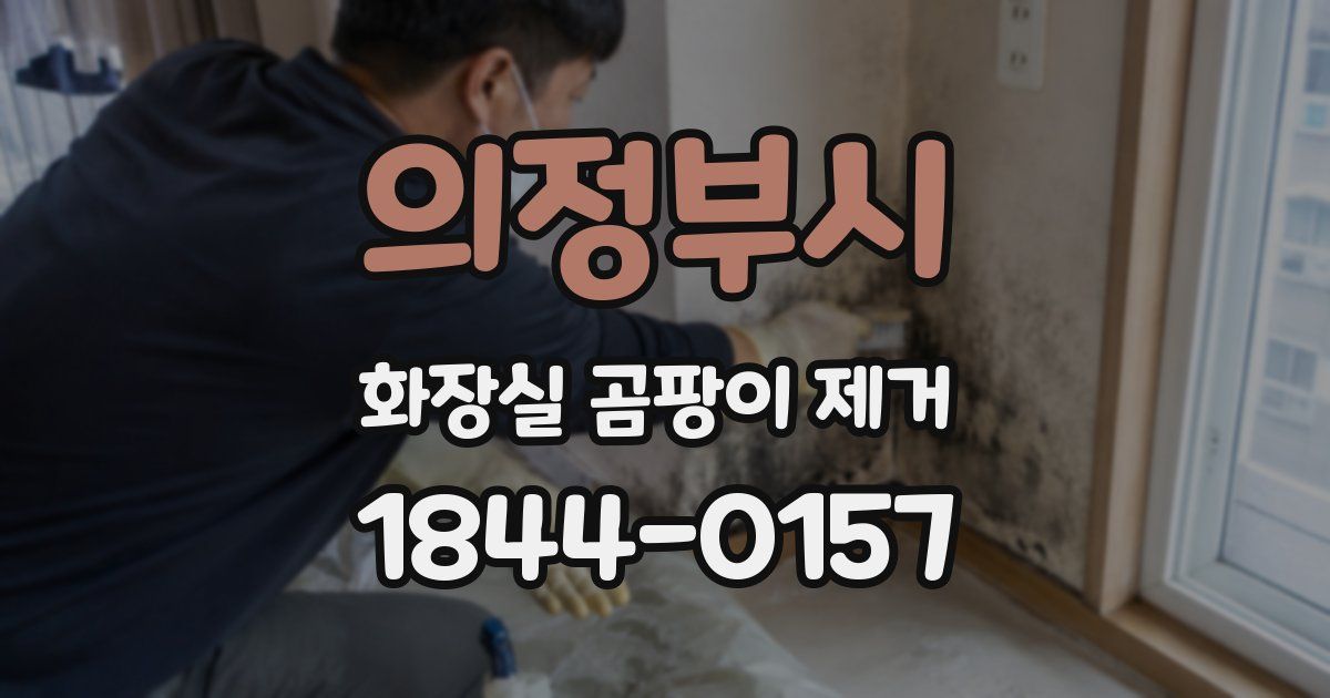 의정부시 화장실 곰팡이 제거