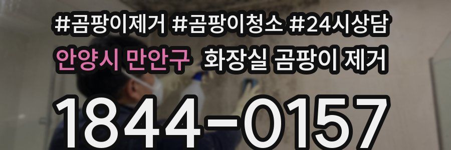 안양시 만안구 화장실 곰팡이 제거