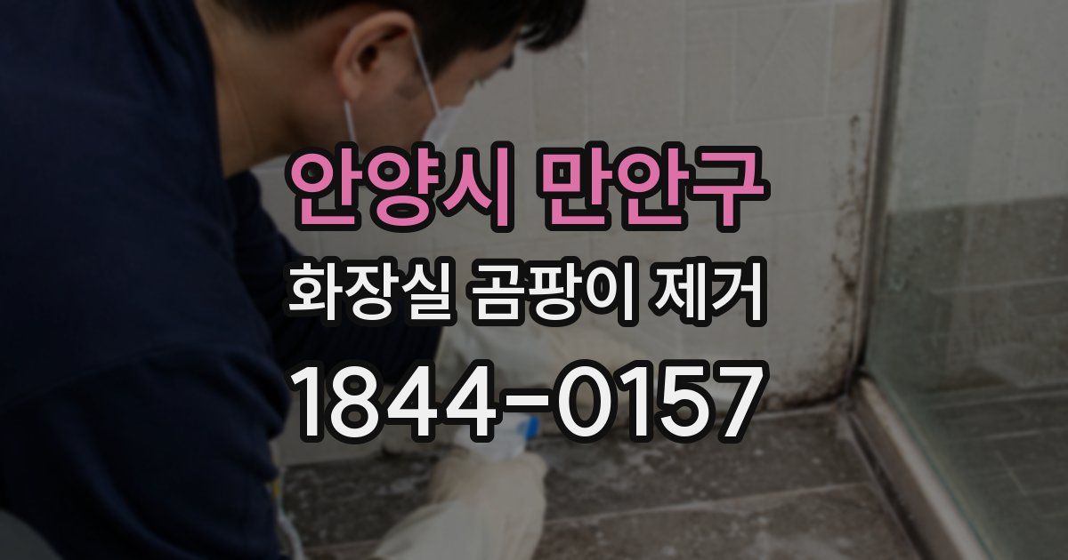 안양시 만안구 화장실 곰팡이 제거
